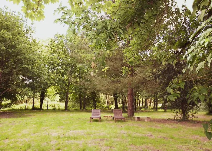 Ferienhaus Nature Et Partage - Jacuzzi - Wifi Grand-Landes